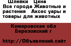 Шлейки › Цена ­ 800 - Все города Животные и растения » Аксесcуары и товары для животных   . Кемеровская обл.,Березовский г.